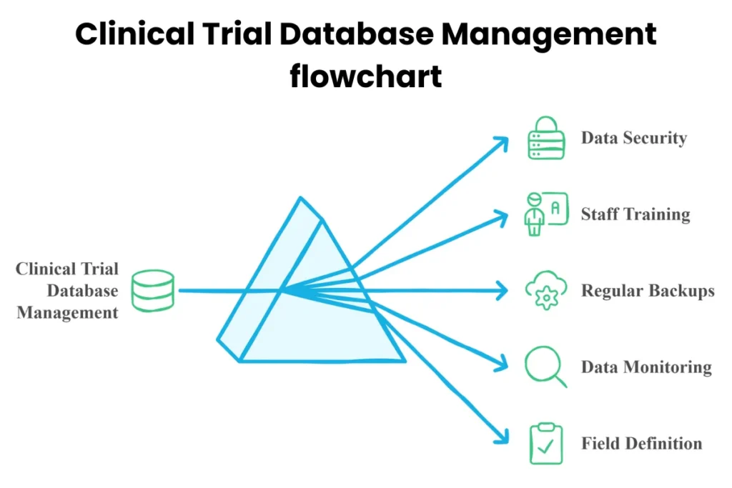 Clinical Trial Database Management flowchart