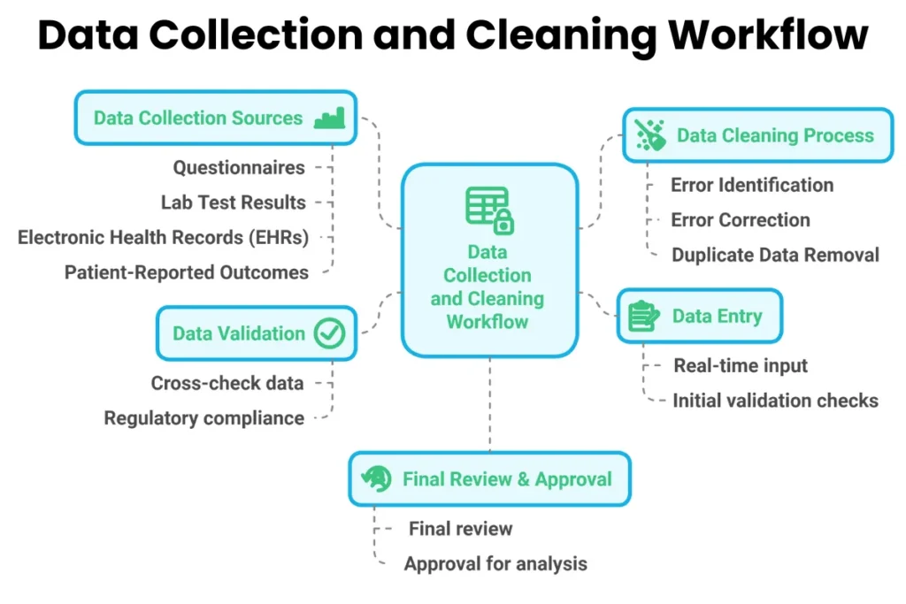 Data Collection and Cleaning Workflow