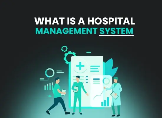 Illustration explaining what a hospital management system is with healthcare professionals and medical data symbols.